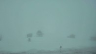 Archiv Foto Webcam White Pass: Talstation 14:00