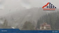 Archived image Webcam Ski Jump Harrachov 12:00