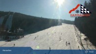 Archiv Foto Webcam Harrachov: Sprungschanzenanlage am Teufelsberg 12:00