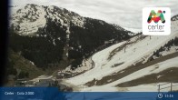 Archiv Foto Webcam Cerler - Cota 2.000 14:00