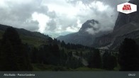Archiv Foto Webcam Alta Badia - Passo Gardena 08:00