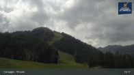 Archived image Webcam Slopes and Lifts in Pinzolo 14:00