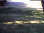 Archiv Foto Webcam Wiesensteig Piste 07:00