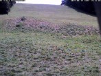 Archiv Foto Webcam Wiesensteig Piste 13:00