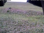 Archived image Webcam Wiesensteig Slope 13:00