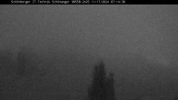 Archived image Webcam Neuschönau, Bavarian Forest 05:00