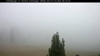 Archiv Foto Webcam Neuschönau 05:00