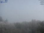 Archived image Webcam Primda Pfraumberg Panorama 11:00