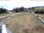Archived image Webcam Valley area (Ochsenkopf mountain) 11:00