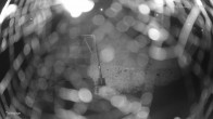 Archived image Webcam Ski slope at Altenberg 01:00