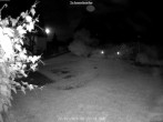 Archived image Webcam Bärenfels - Snowcam 23:00