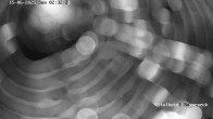 Archiv Foto Webcam Hohegeiß Braunlage: Blick über das Tal 01:00