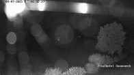 Archiv Foto Webcam Hohegeiß Braunlage: Blick über das Tal 01:00