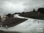 Archived image Webcam Chamois d'Or - 1450 m a.s.l. 05:00