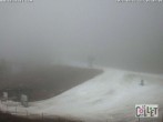 Archived image Webcam Chamois d'Or - 1450 m a.s.l. 06:00