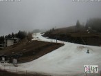 Archived image Webcam Chamois d'Or - 1450 m a.s.l. 07:00