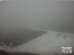 Archived image Webcam Chamois d'Or - 1450 m a.s.l. 13:00