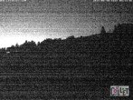 Archived image Webcam Chamois d'Or - 1450 m a.s.l. 03:00