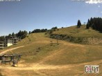 Archived image Webcam Chamois d'Or - 1450 m a.s.l. 11:00