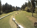 Archiv Foto Webcam Wasserkuppe: Skischule Abfahrt Märchenwiese 13:00
