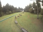 Archived image Webcam Ski slope at Wasserkuppe mountain 11:00