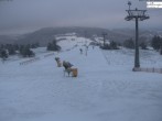 Archiv Foto Webcam Willingen: Ettelsberg Bergstation 08:00