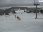 Archiv Foto Webcam Willingen: Ettelsberg Bergstation 12:00