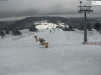 Archiv Foto Webcam Willingen: Ettelsberg Bergstation 14:00