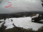 Archived image Webcam &#34;Obere Postwiese&#34; - ski resort Neuastenberg 15:00