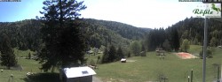 Archived image Webcam Todtmoos valley 11:00