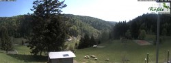 Archived image Webcam Todtmoos valley 13:00