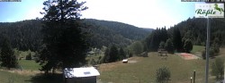 Archived image Webcam Todtmoos valley 11:00