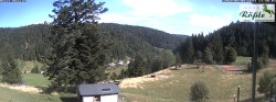 Archived image Webcam Todtmoos valley 17:00