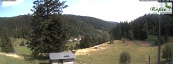Archived image Webcam Todtmoos valley 15:00