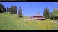 Archiv Foto Webcam Haldenköpfle Hütte 11:00