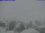 Archived image Webcam Guest house "Glöcklehof" 15:00