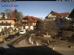 Archiv Foto Webcam Das Dorf Schluchsee 13:00