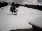 Archived image Webcam Ski lift Ruhestein 11:00