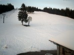 Archived image Webcam Ski lift Ruhestein 19:00