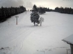 Archiv Foto Webcam Skilift Ruhestein 08:00