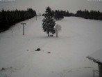 Archiv Foto Webcam Skilift Ruhestein 11:00