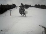 Archived image Webcam Ski lift Ruhestein 13:00