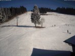 Archiv Foto Webcam Skilift Ruhestein 11:00