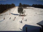 Archiv Foto Webcam Skilift Ruhestein 13:00