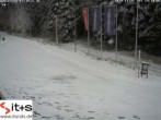 Archived image Webcam Kniebis - cross-country skiing night trail 13:00