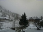 Archiv Foto Webcam Menzenschwand: Hinterdorf 13:00