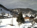 Archived image Webcam Hinterdorf 11:00