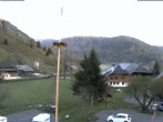 Archiv Foto Webcam Menzenschwand: Hinterdorf 05:00