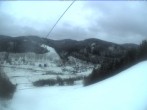 Archiv Foto Webcam Menzenschwand: Bergstation Mösle 11:00