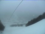 Archiv Foto Webcam Menzenschwand: Bergstation Mösle 13:00